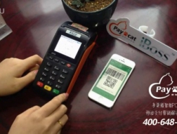 ΢��֧����ʾ - PAYCAT֧��è����POS��