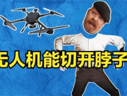 սߣ˻ϵƬܸ˵Ĳ