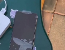 ¼���ֻ���