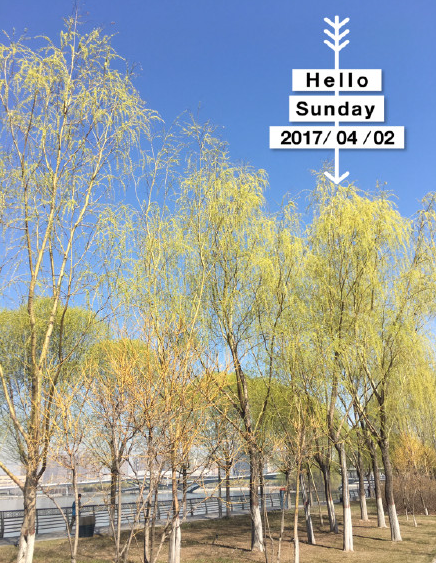 QQͼ20170402205721.png
