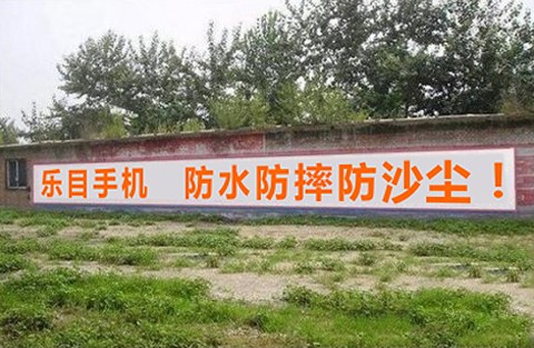 ǽ1.jpg