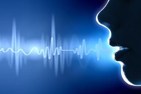 1492562865924005255.jpg