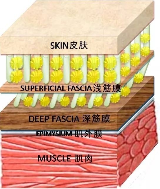 30cb-icapxpf9592304.jpg
