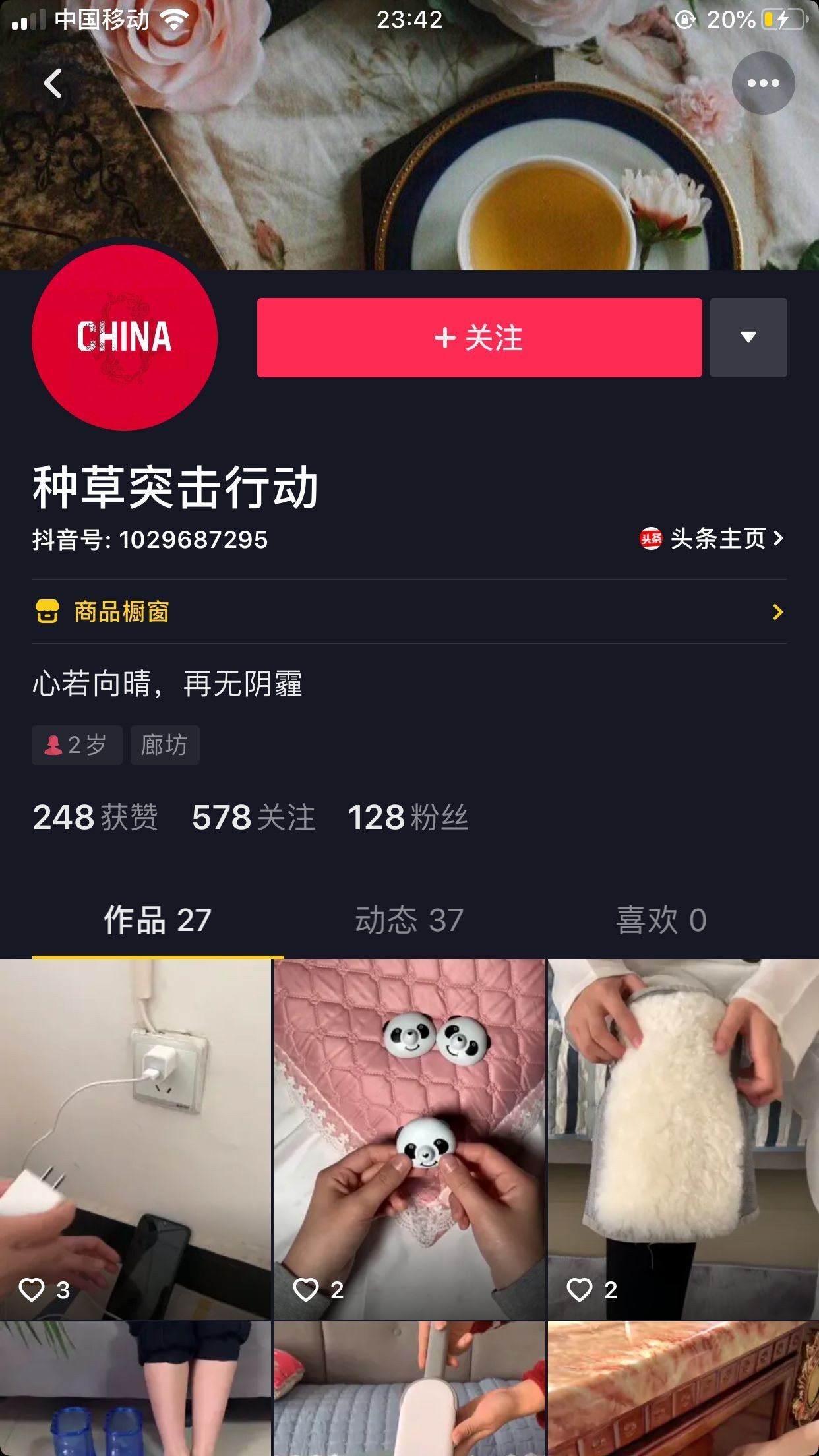 17.jpg