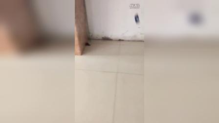 05470408570E0F626A0A45044AC38E79?.jpg
