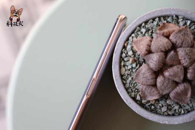 ƼȮiPhone 12ֻܣղ-5.jpg