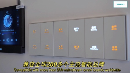 054106016050963C00000167D4043274?.jpg
