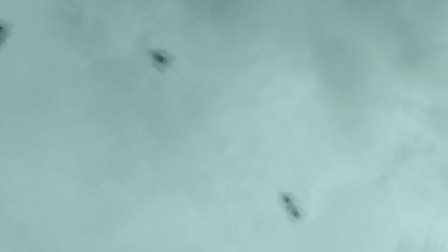 054104085FE6E5810000011AC20EB11D?.jpg