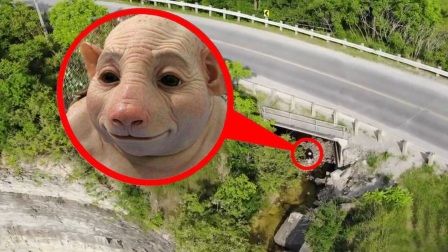 054101016395582B2C4007A4860DB4A2?.jpg