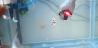 ·A9iƷTONAINE/;T181ֻĿLM128 129