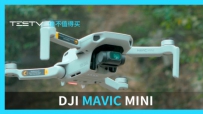 ֻҪĴ˻_Mavic Miniֵֵ391ڡ