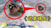 ˻־棬һӽǻҰ̼