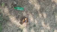 Խȼձըvideo_20190419_151322