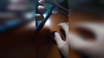 ǿƵ