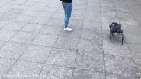ƼAI