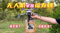 ô˻ݴ߿£ܴ
