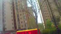 201903304ɢϰִ¼ǣ