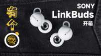 ʽ߿ϲ LinkBuds 