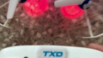 ˻ɽ̳Ƶָ