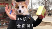 ! 36˴ȫֻ