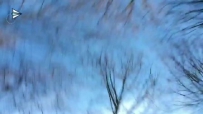 ˻ըƵڶ