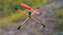 ʹõ˻̫һѧͻ