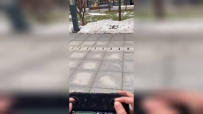 Դ˻ıϹ