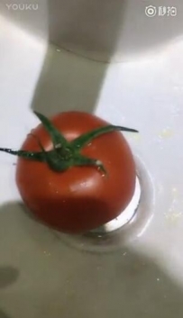 ĿɳV1