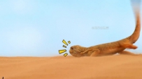 ܼҾ