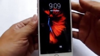 ɽկƻ6s plusֻ 8 ָ 4g qʾƻ