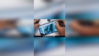 һNordжãֻ⣡
