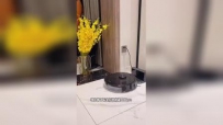 ̨ɨػ˳ɾ,AI˫Ƶ,