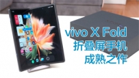 һĶ۵ֻvivoXFold