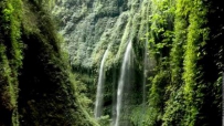 ˻ĸַ羰ز