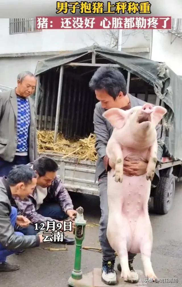 ��Ц�����ӱ���һ����أ���������յ�ֱ�����������۵�������