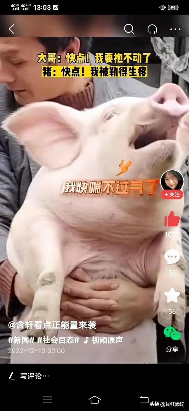 ��Ц�����ӱ���һ����أ���������յ�ֱ�����������۵�������