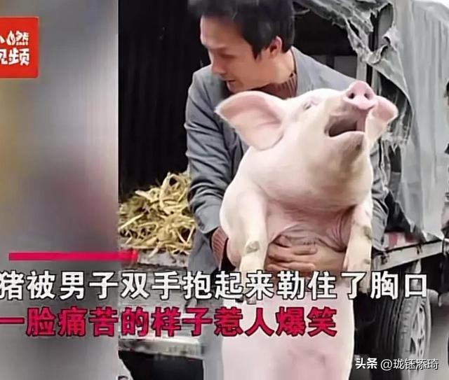 ��Ц�����ӱ���һ����أ���������յ�ֱ�����������۵�������