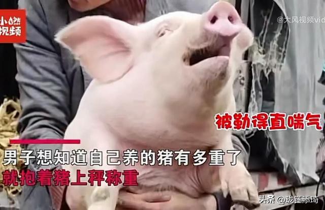 ��Ц�����ӱ���һ����أ���������յ�ֱ�����������۵�������