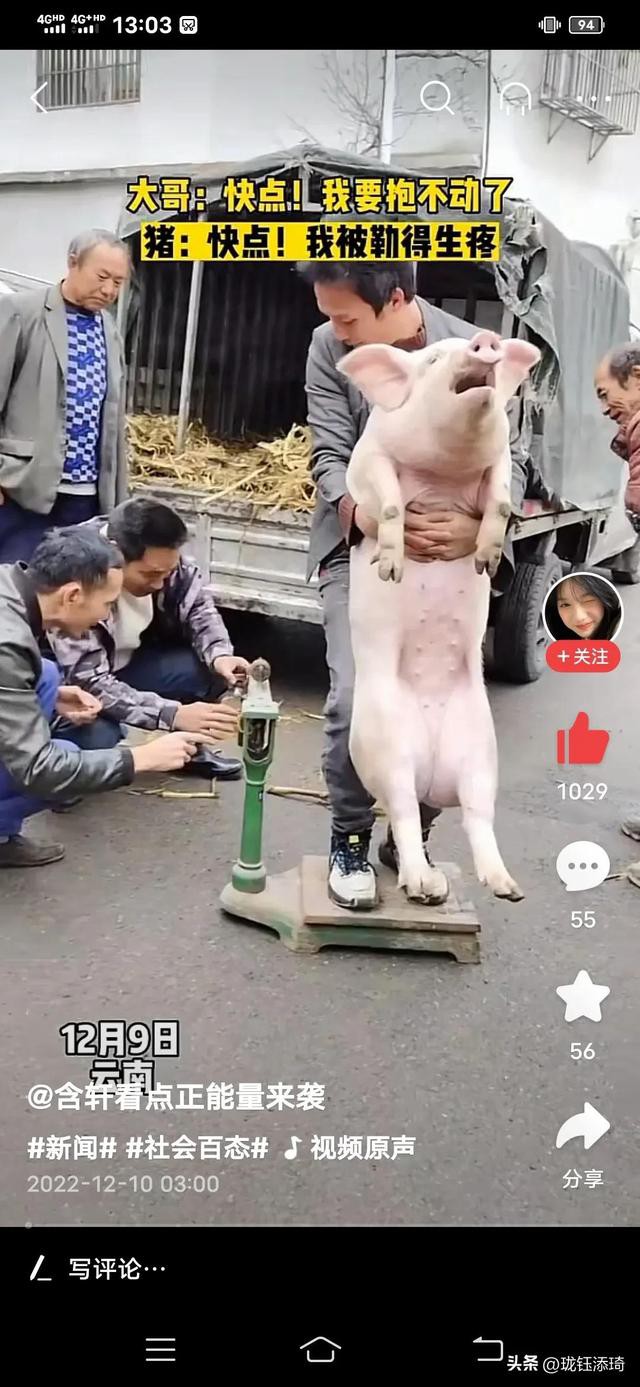 ��Ц�����ӱ���һ����أ���������յ�ֱ�����������۵�������