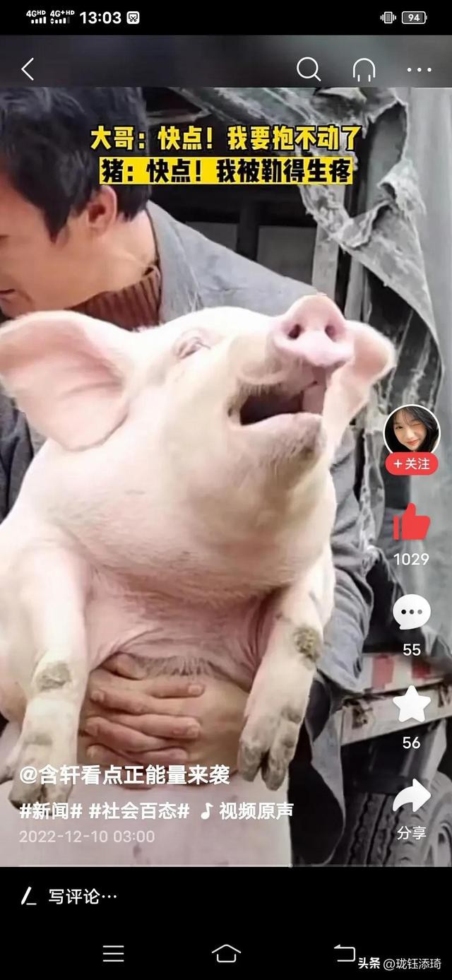 ��Ц�����ӱ���һ����أ���������յ�ֱ�����������۵�������