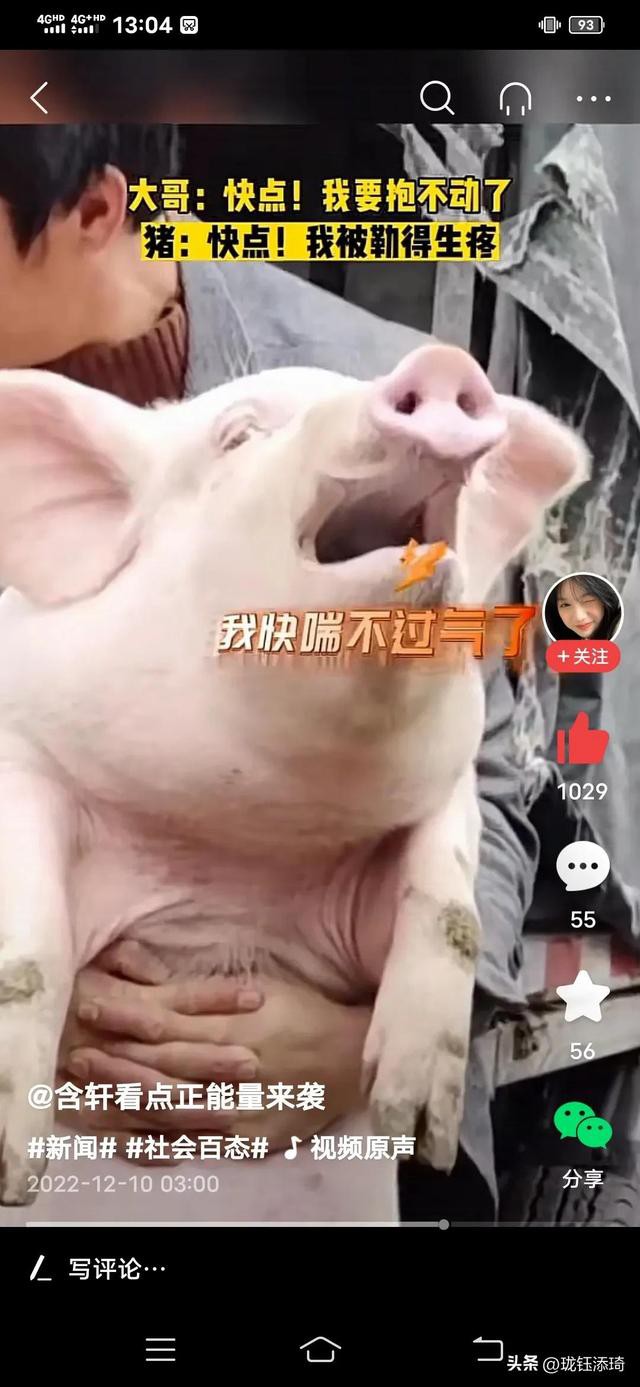 ��Ц�����ӱ���һ����أ���������յ�ֱ�����������۵�������