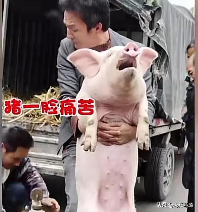 ��Ц�����ӱ���һ����أ���������յ�ֱ�����������۵�������