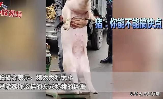 ��Ц�����ӱ���һ����أ���������յ�ֱ�����������۵�������