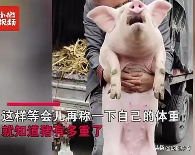 ��Ц�����ӱ���һ����أ���������յ�ֱ�����������۵�������