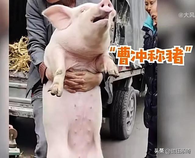 ��Ц�����ӱ���һ����أ���������յ�ֱ�����������۵�������