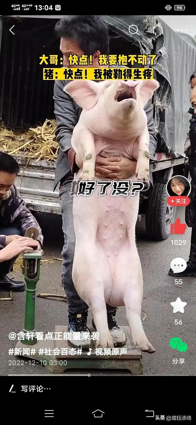 ��Ц�����ӱ���һ����أ���������յ�ֱ�����������۵�������