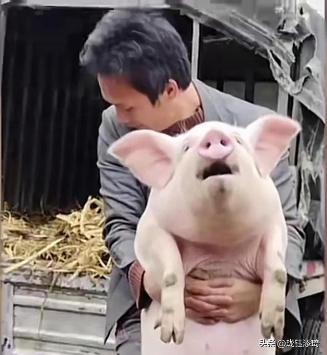 ��Ц�����ӱ���һ����أ���������յ�ֱ�����������۵�������