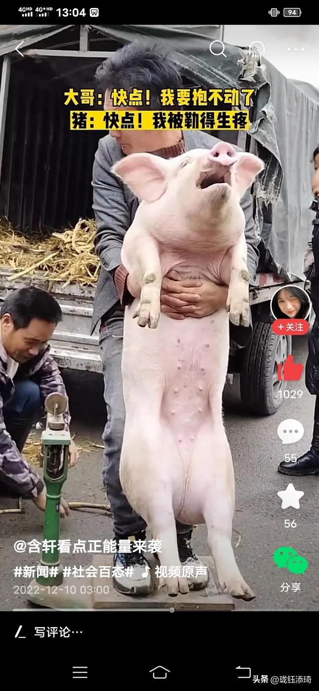 ��Ц�����ӱ���һ����أ���������յ�ֱ�����������۵�������