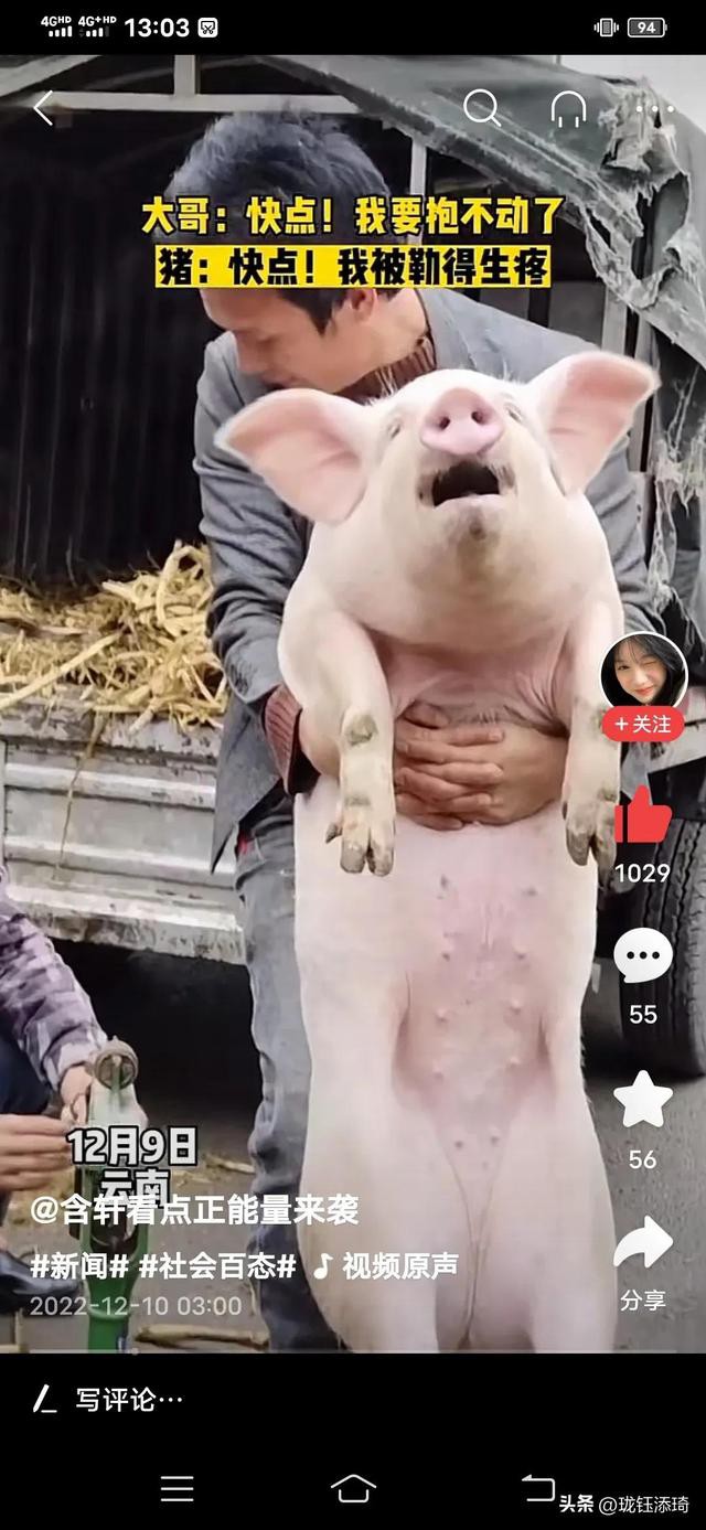 ��Ц�����ӱ���һ����أ���������յ�ֱ�����������۵�������