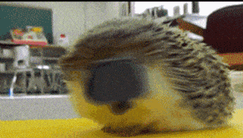 һЦ30ЦͼôŰǣ